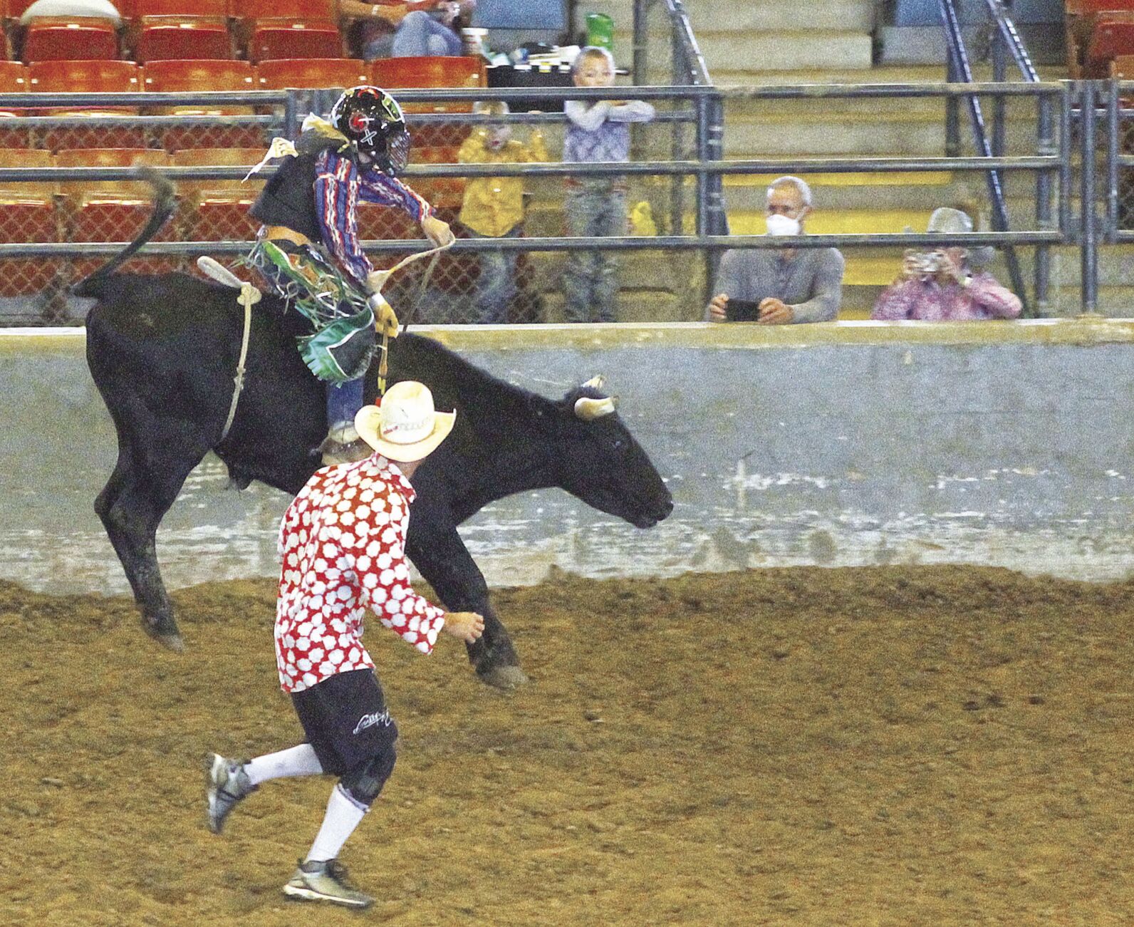 Little Britches rodeo steer riding